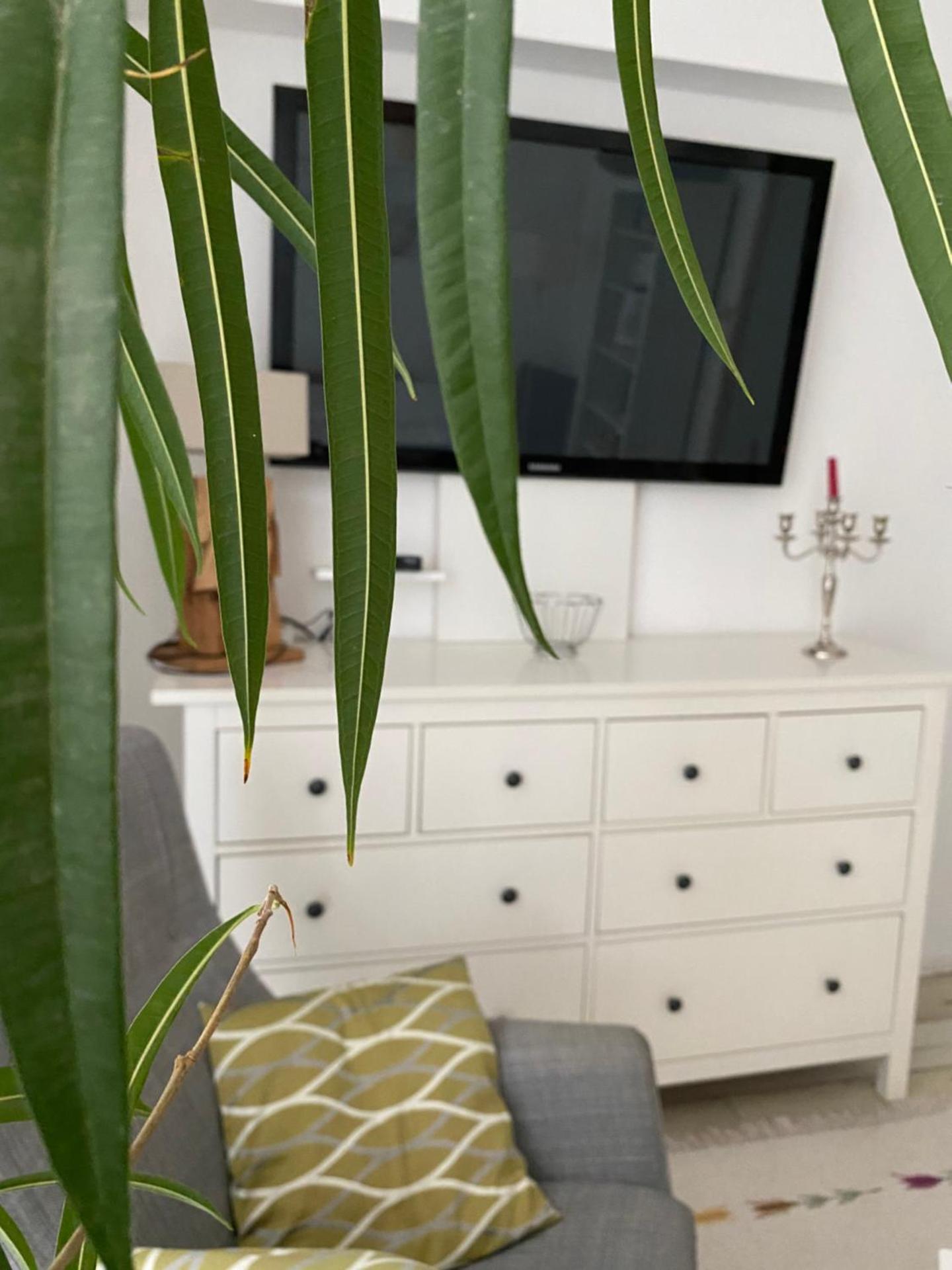 Home Sweet Apartment