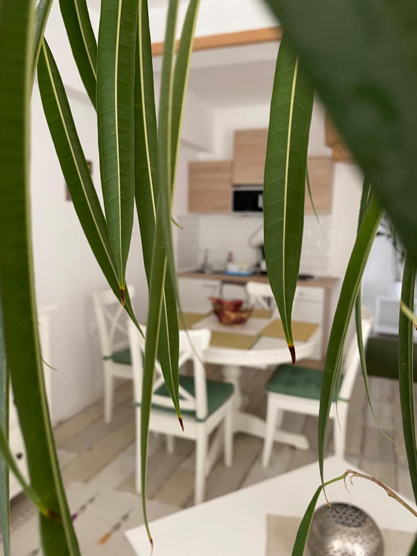 Home Sweet Apartment