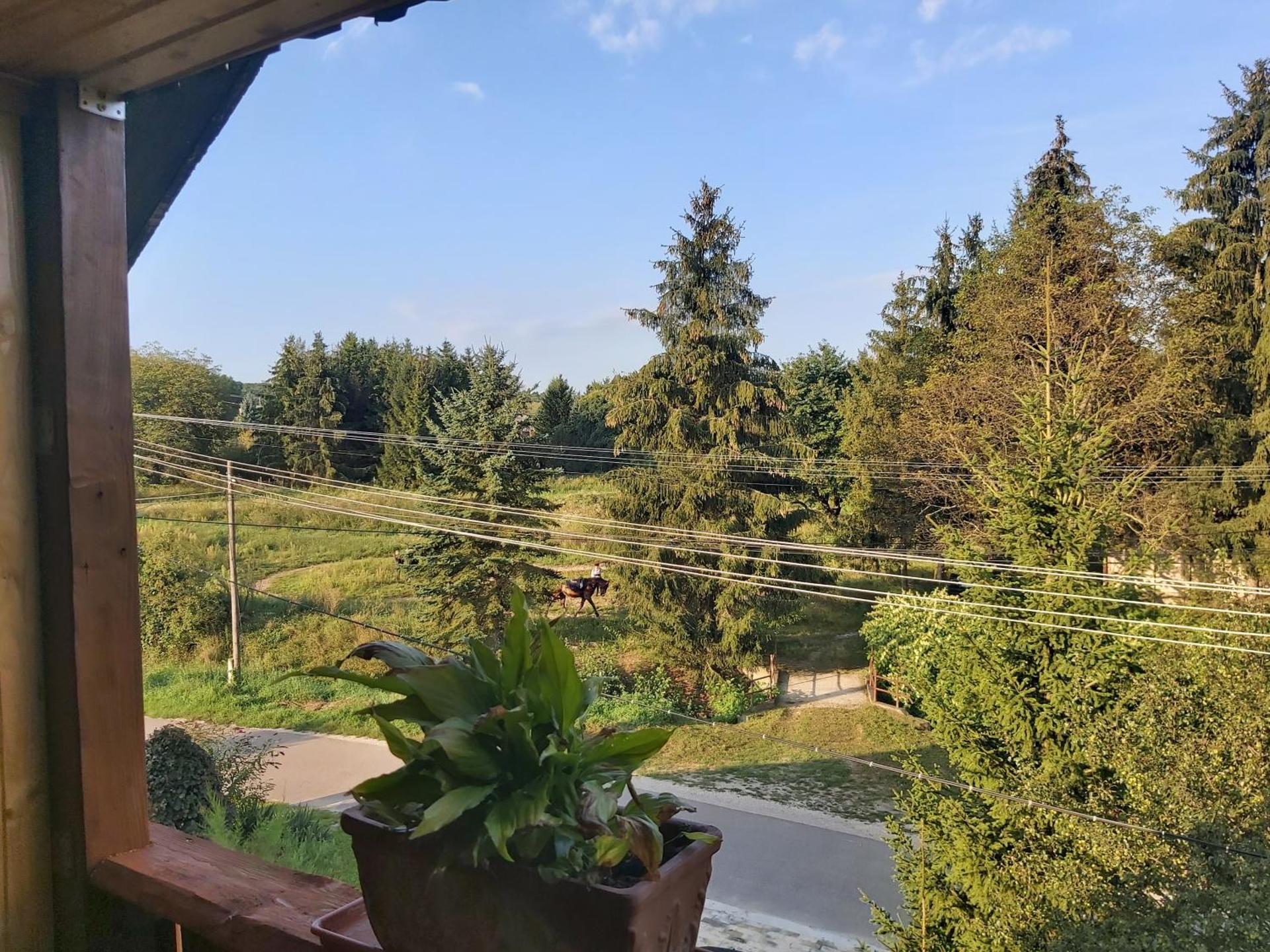 Fenyőfa vendégház