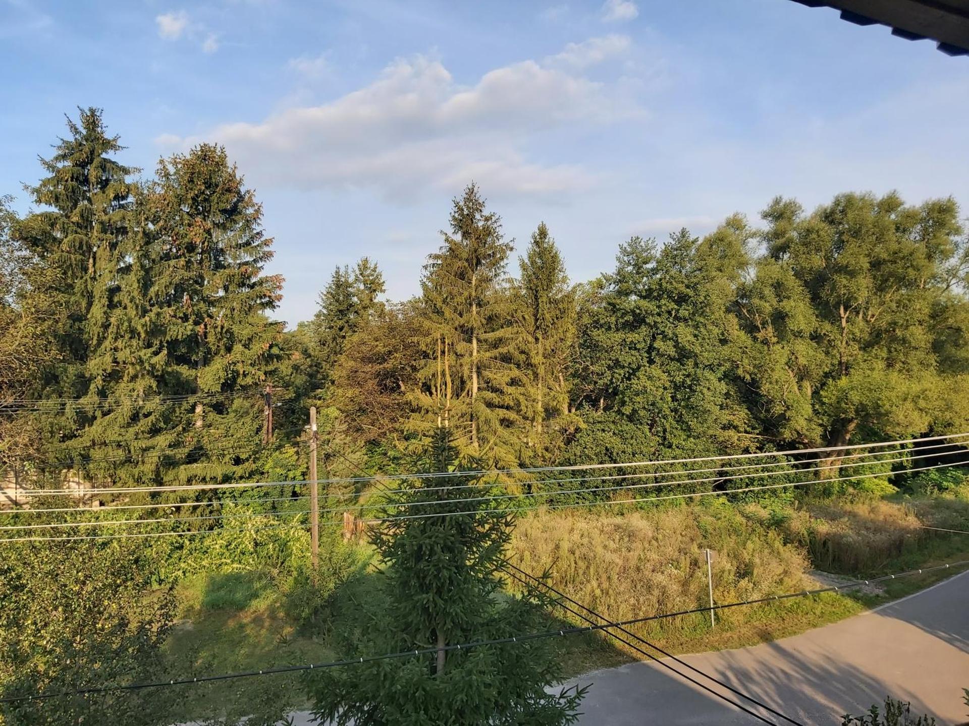 Fenyőfa vendégház