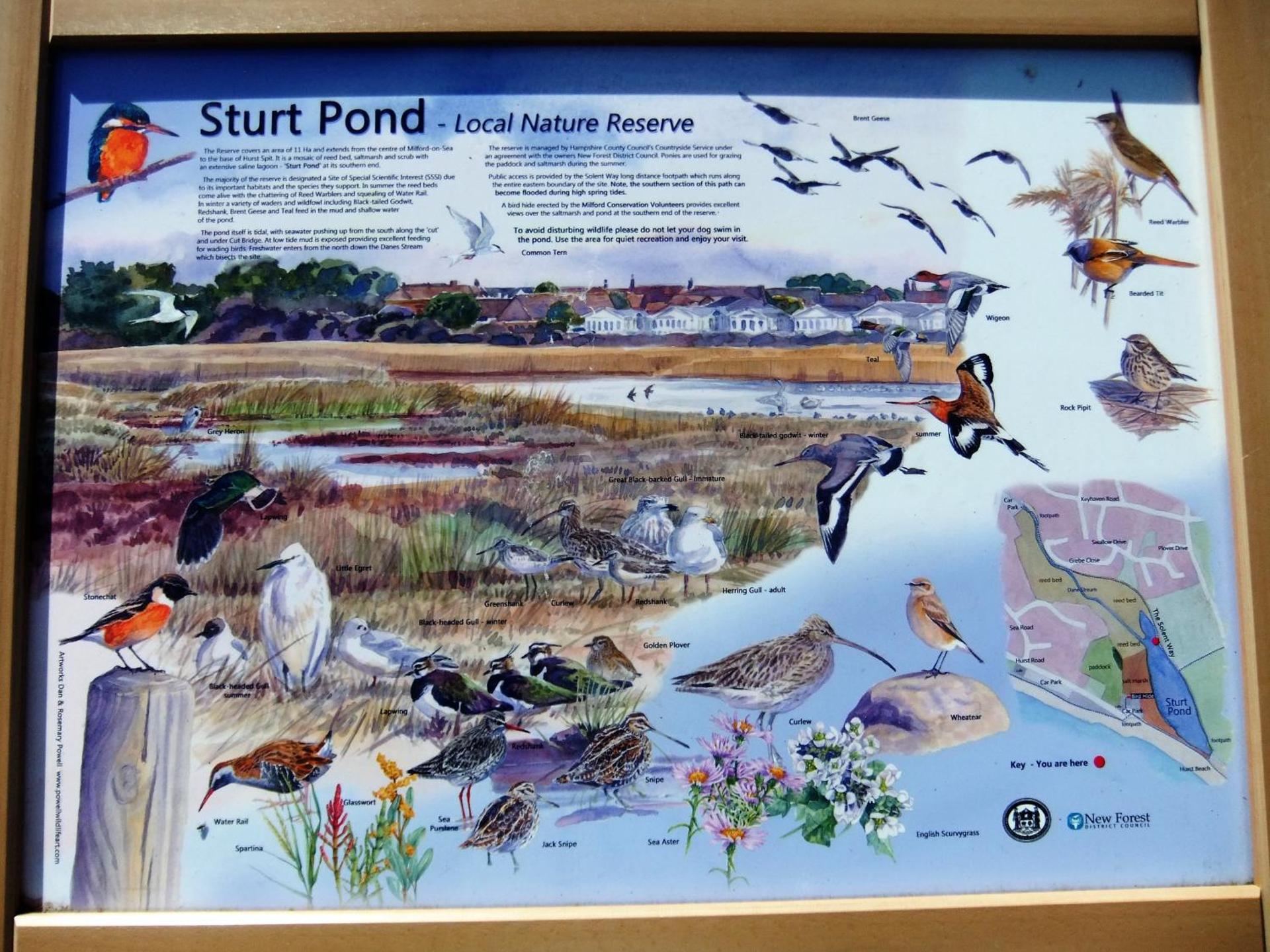 THE HIDEAWAY - LUXURY SELF CATERING COASTAL APARTMENT with PRIVATE ENTRANCE & KEY BOX ENTRY JUST A FEW MINUTES WALK TO THE BEACH, SOLENT WAY WALK, SHOPS and many EATERIES & BARS - FREE OFF ROAD PARKING,FULL KITCHEN, LOUNGE,BEDROOM , BATHROOM & WI-FI