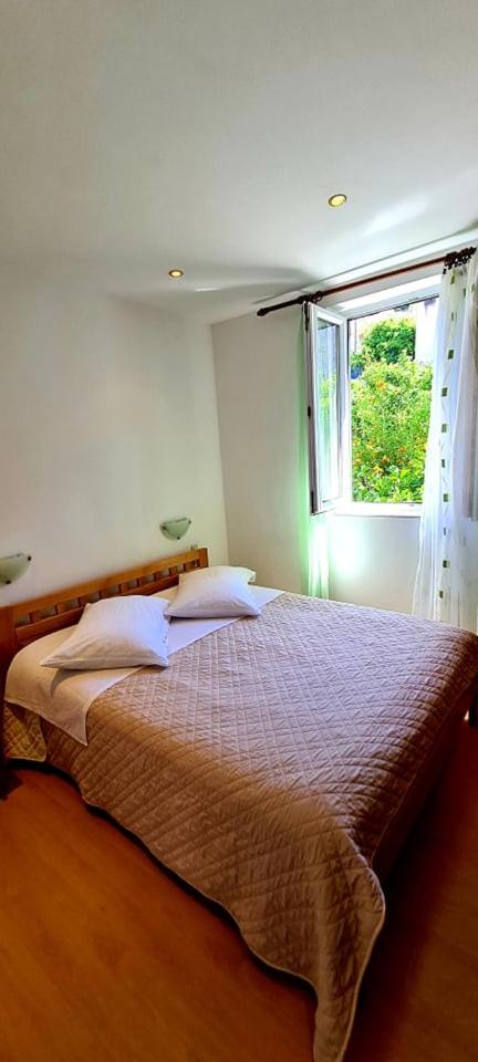 Bed & Breakfast Dionis Vis