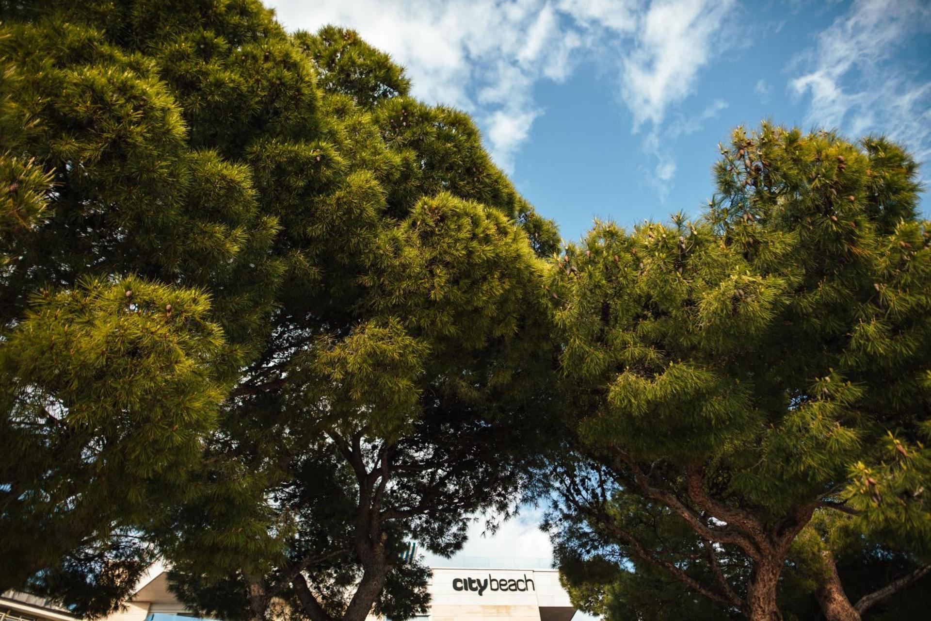 Property logo or sign