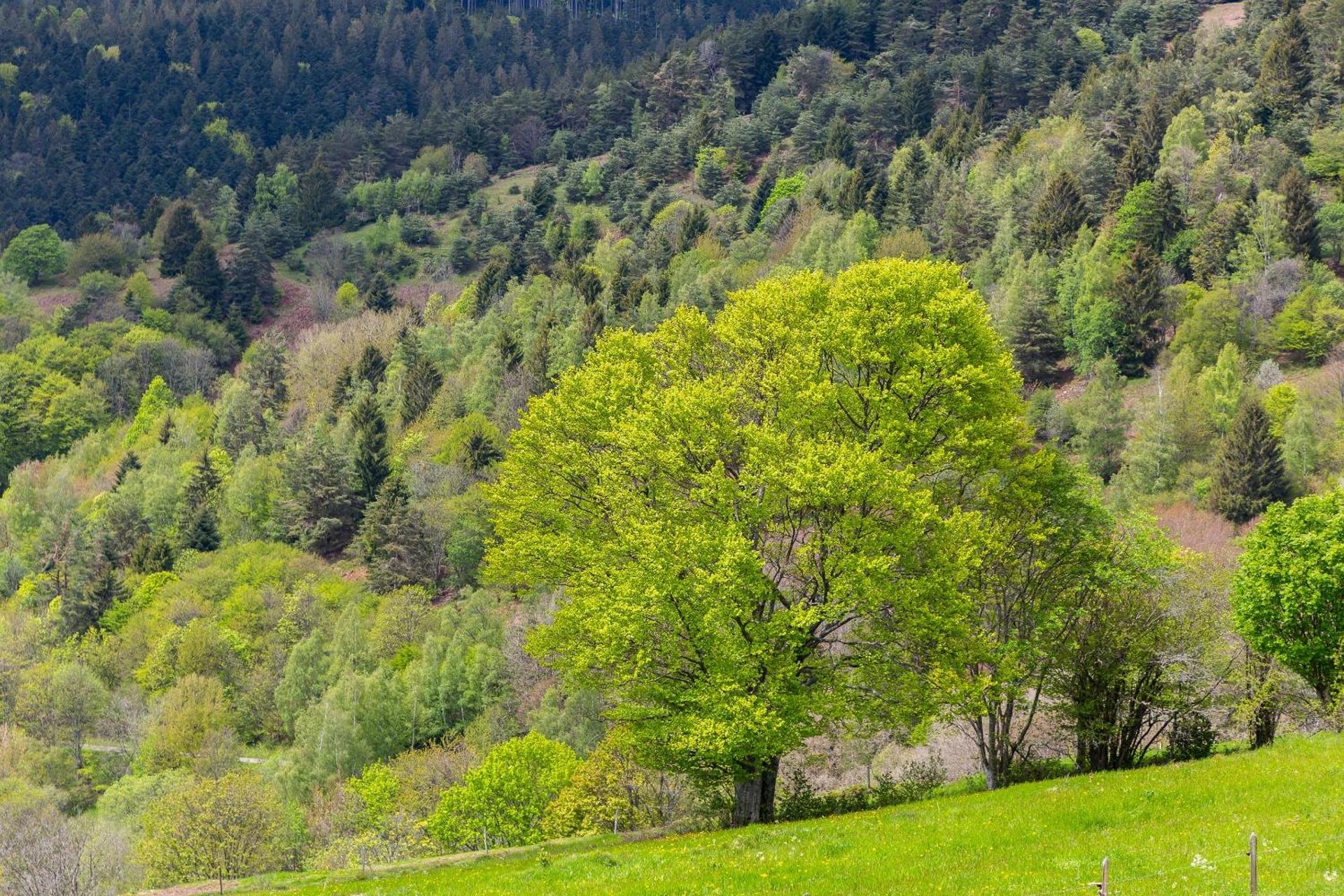 Le Loft de l ancienne forge