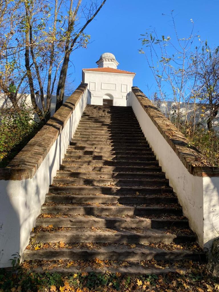 Apartmán Domenica 404