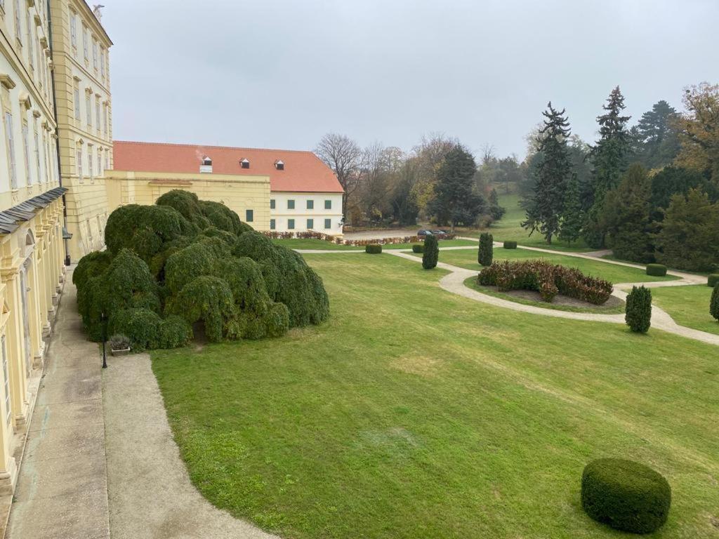 Apartmán Domenica 404