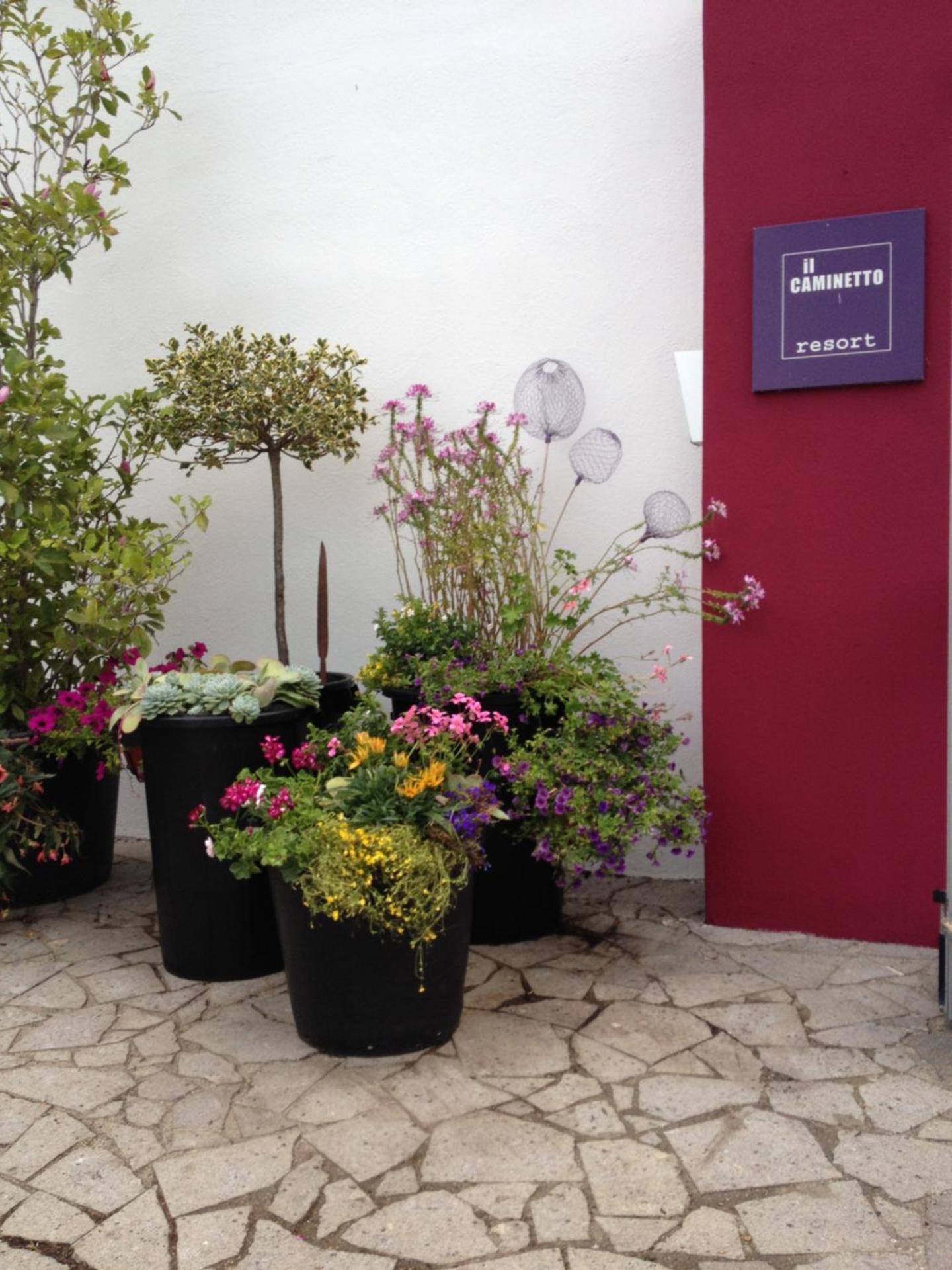 Il Caminetto Montefiascone