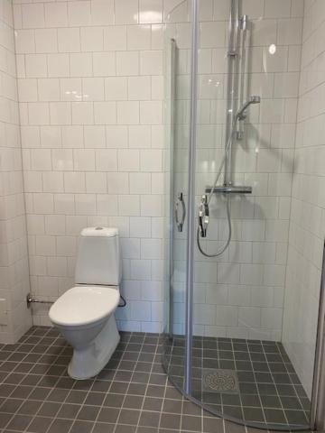 Ettromsleilighet med sovesofa 