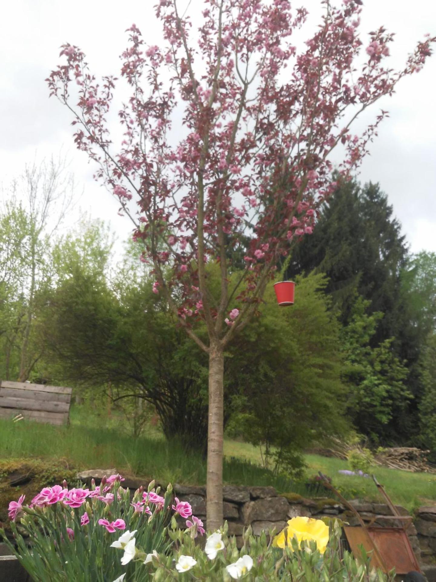 Alte Bäckerei Antonsthal