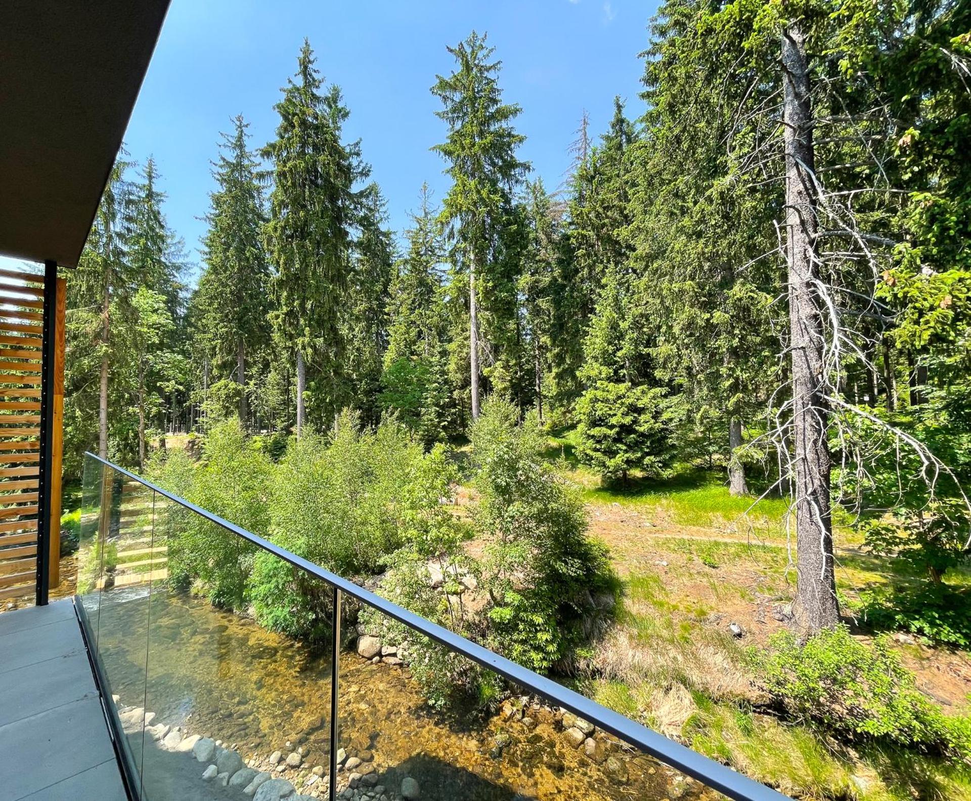 Apartmán Dolce Vita Harrachov 1.8