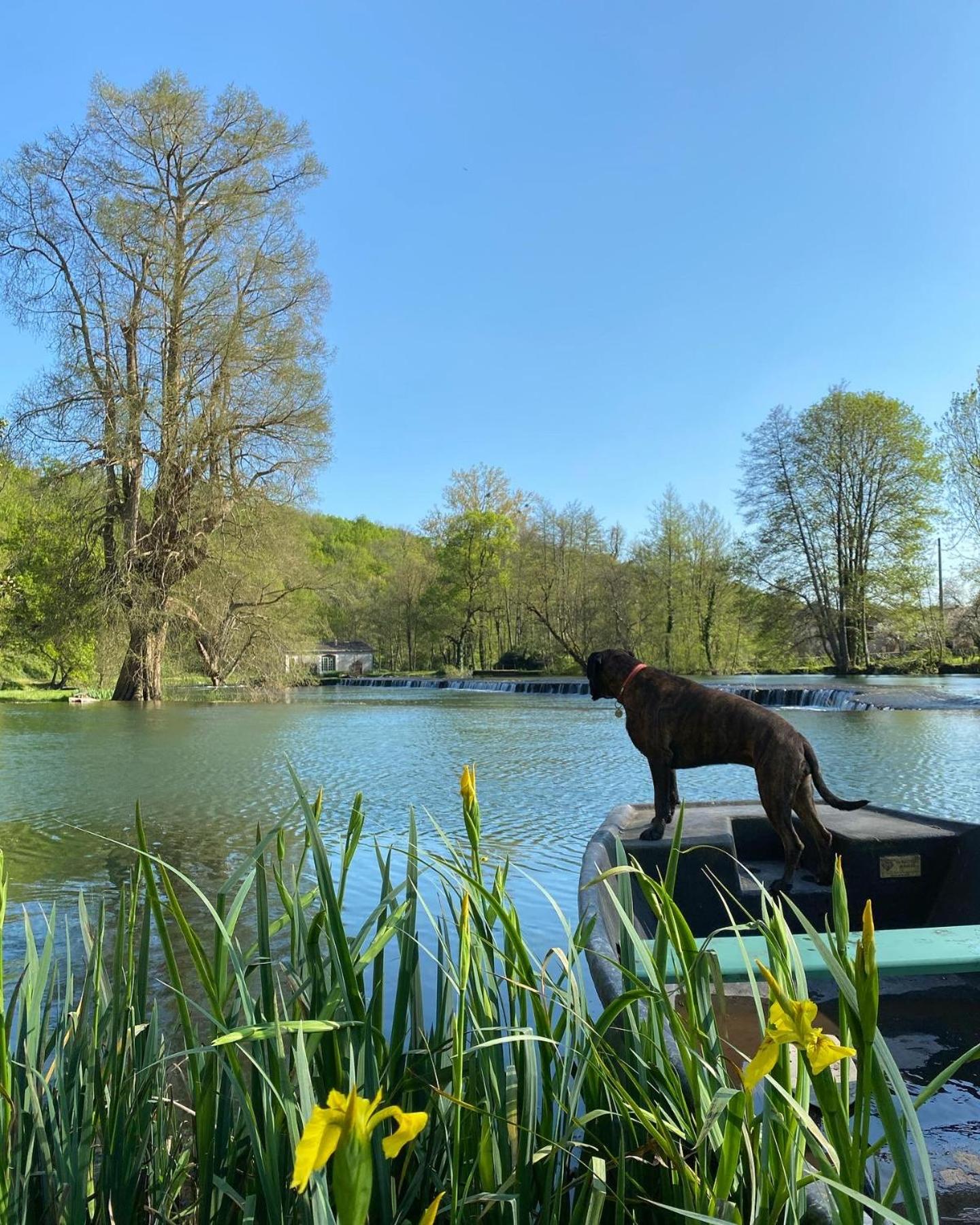 Château des Loups - Les Pommiers
