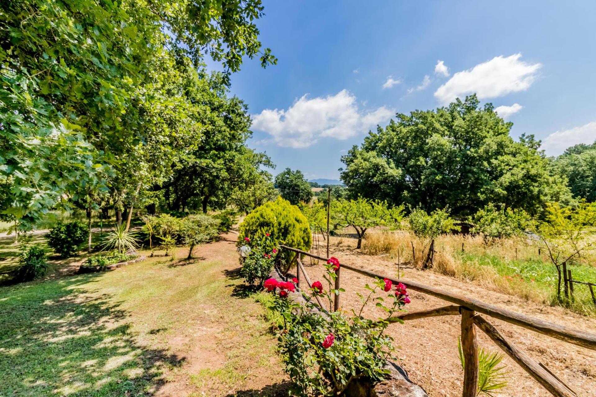 Country House di Campo Stivaletto Nepi