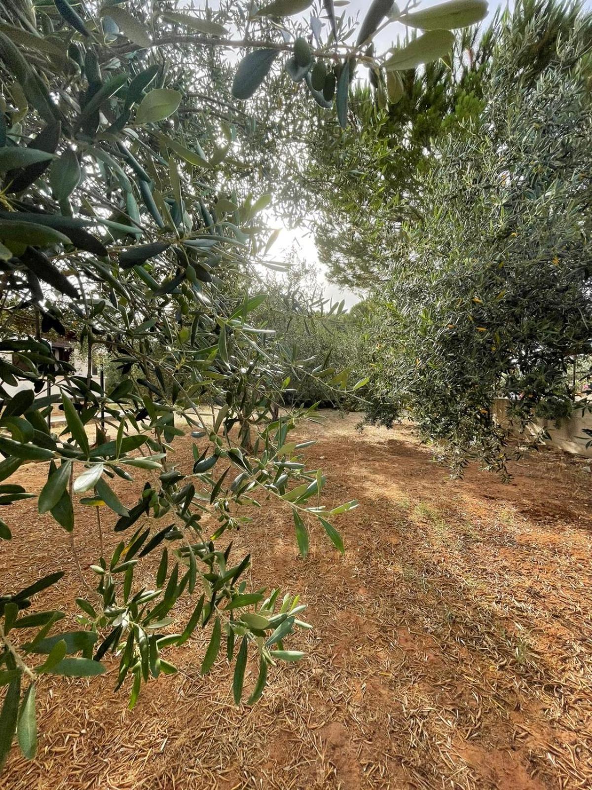 Il moro - Casa Vacanze