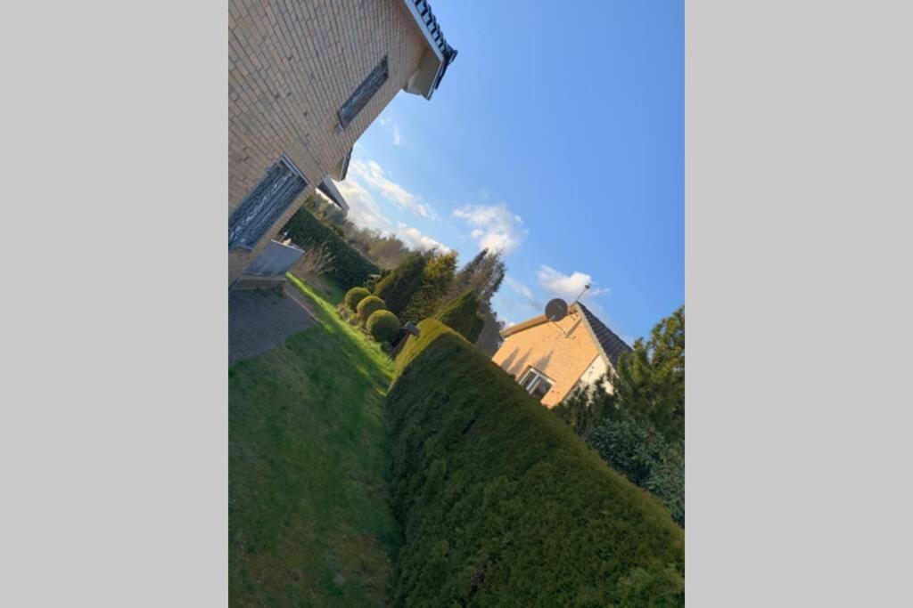 Near „Hamburg summer lounge“ cozy sunny green