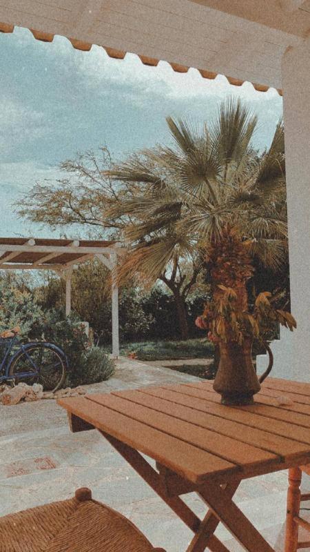 Olive Grove Soulis Family Estate