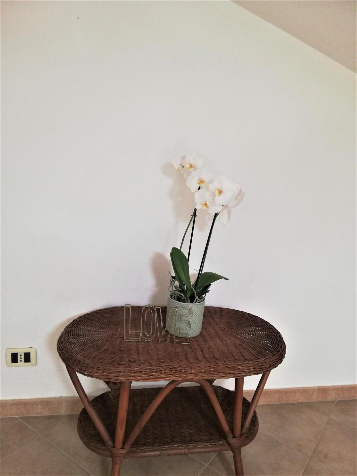 Amore Cove Apartment - Riomaggiore - 5 terre