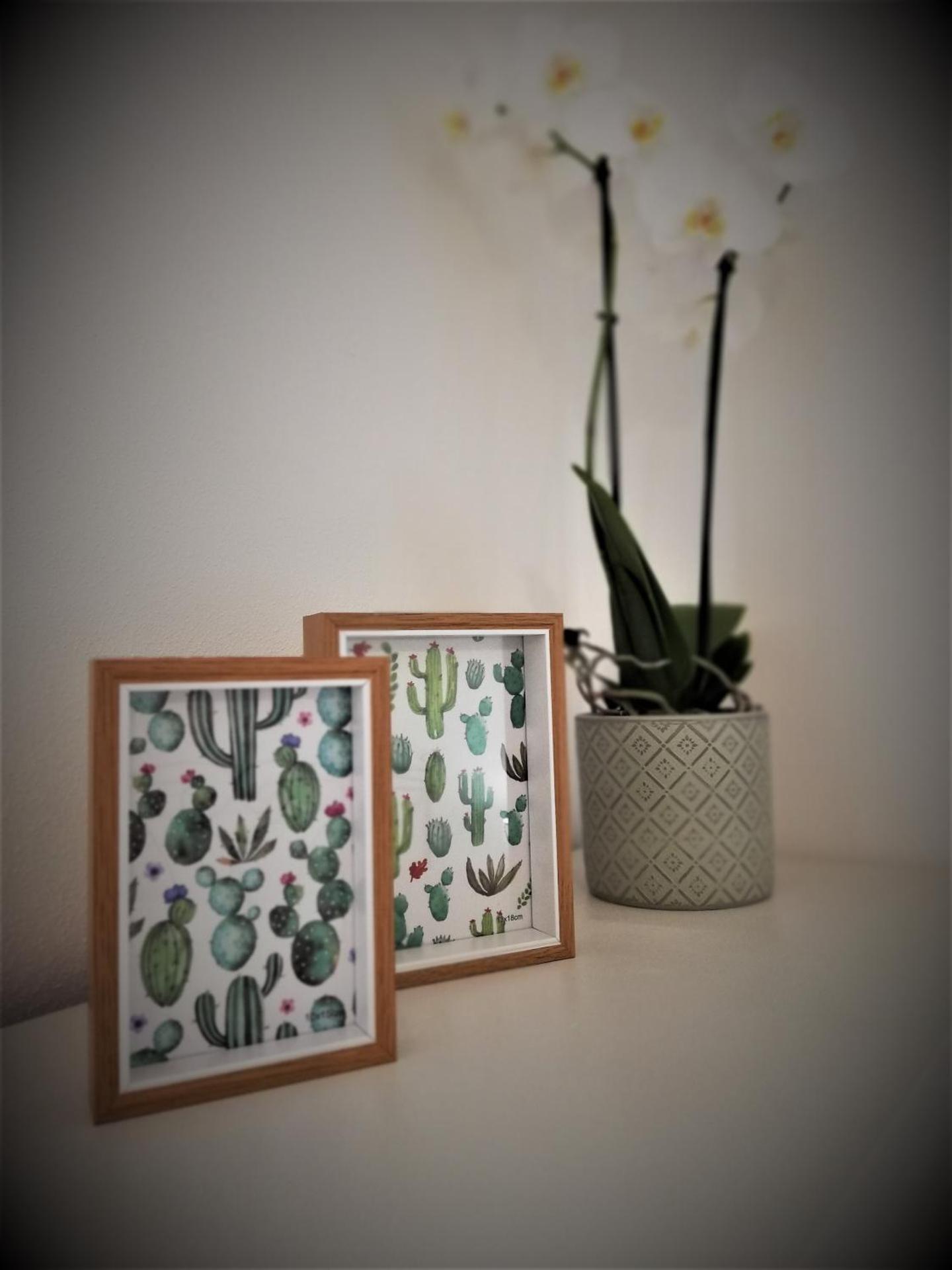 Amore Cove Apartment - Riomaggiore - 5 terre