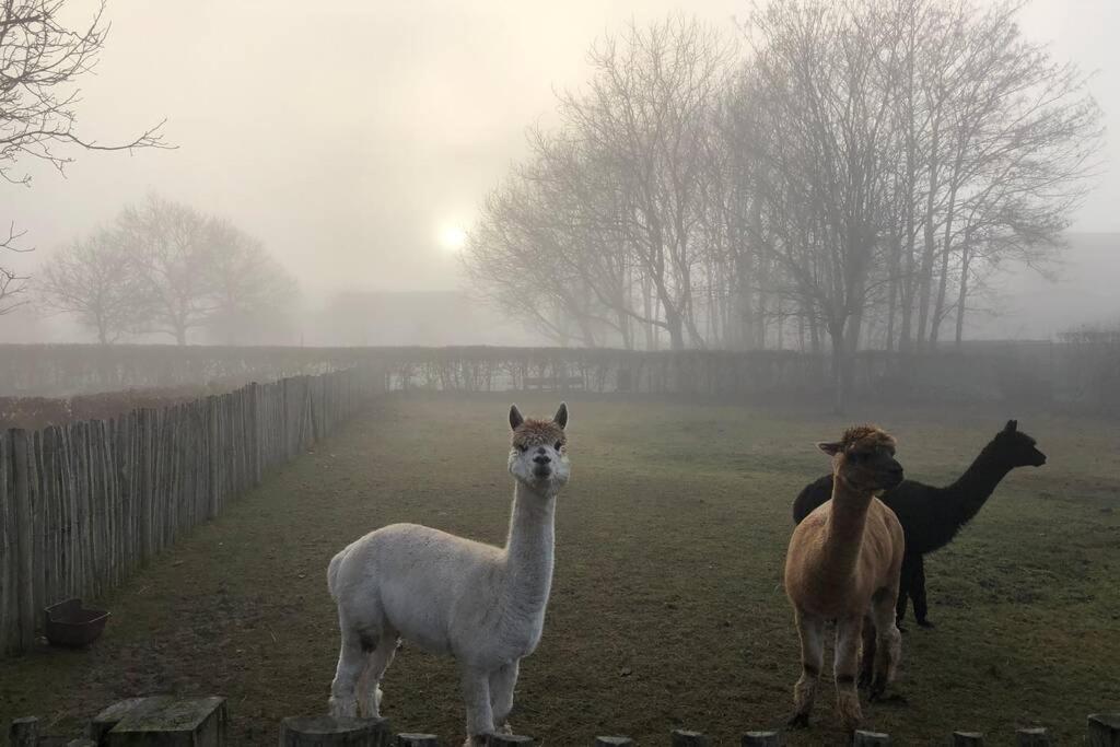 Hof van Eggertingen Bakhuis