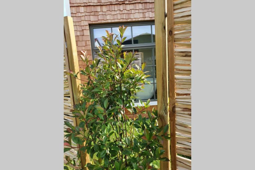 Tiny Loft (Haus) im Südhessischen Ried