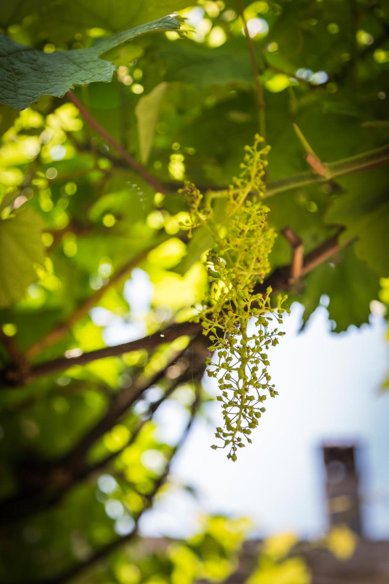 Appartamento Alvavista2