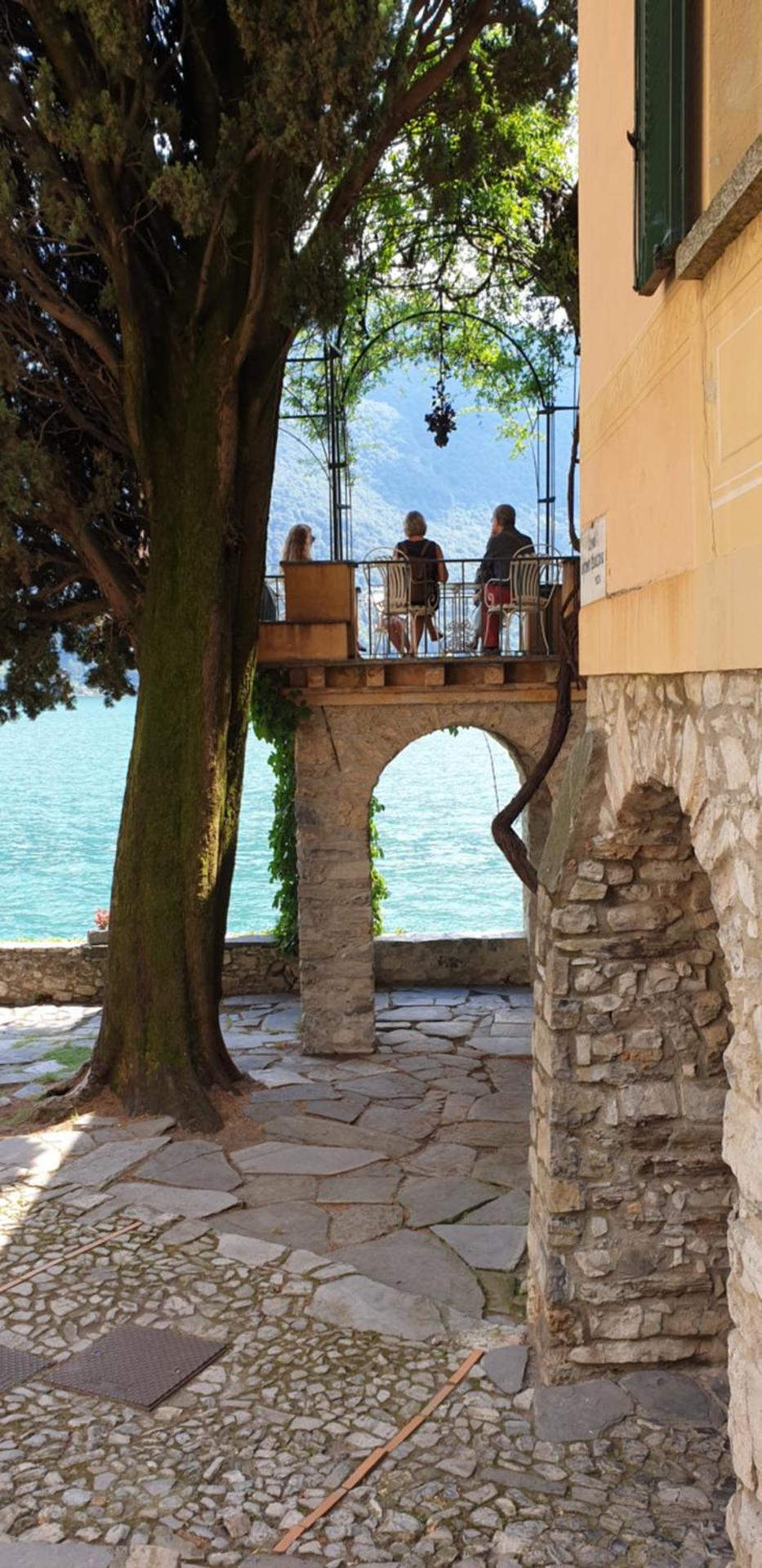 Lugano Lake, nido del cigno