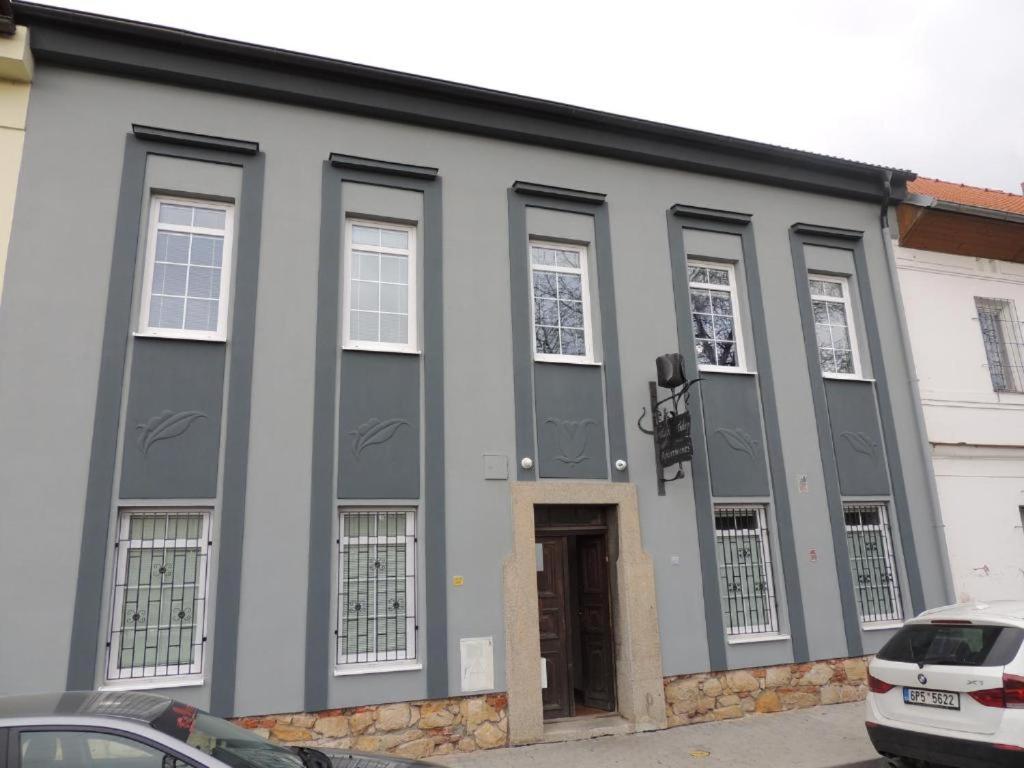 Černý Tulipán - Apartmán 1