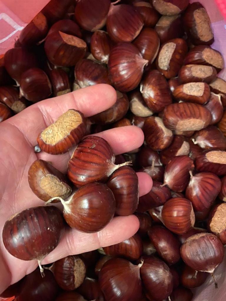 Il Nido nel Borgo Casa Vacanze