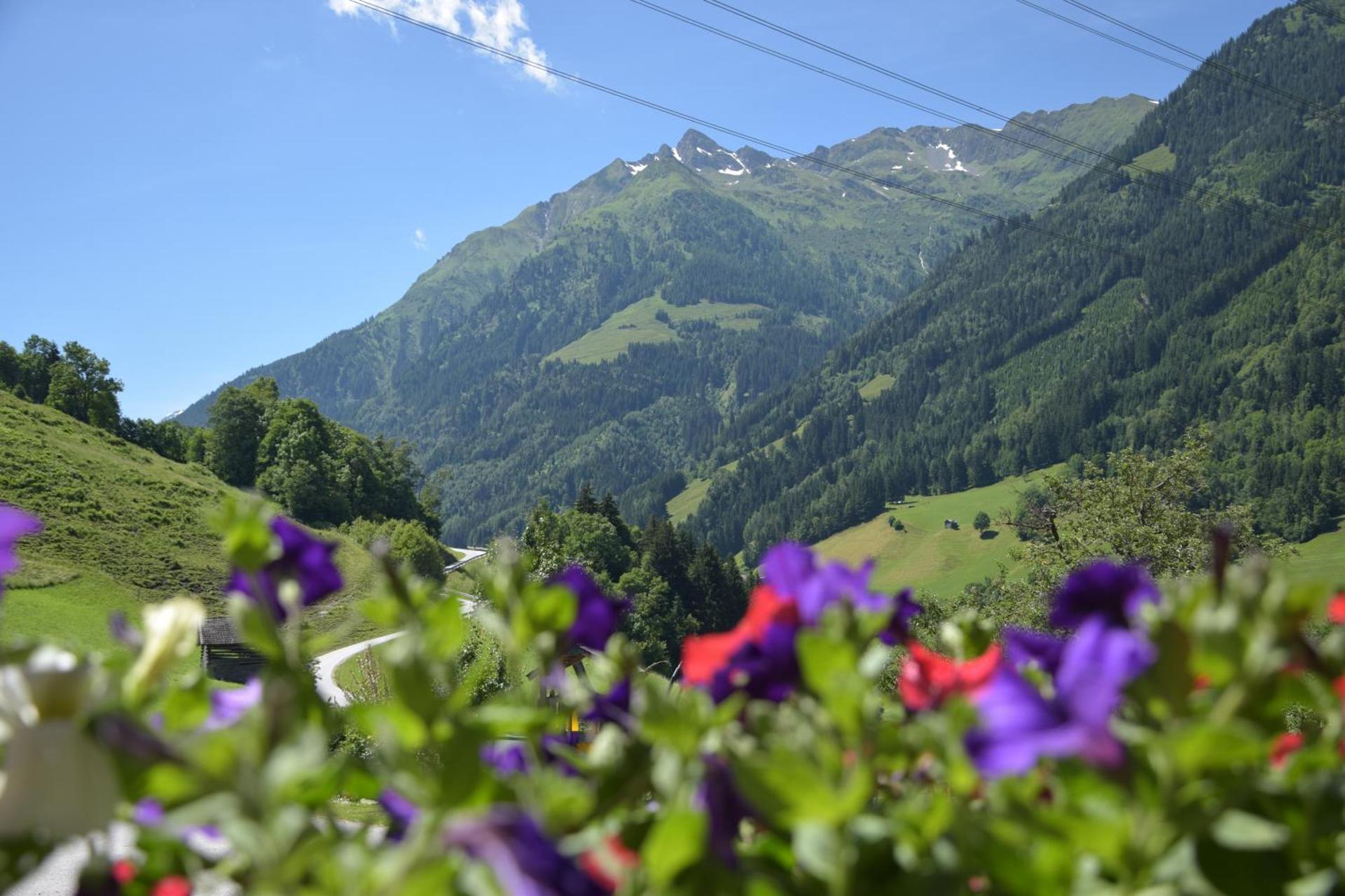 View (from property/room)