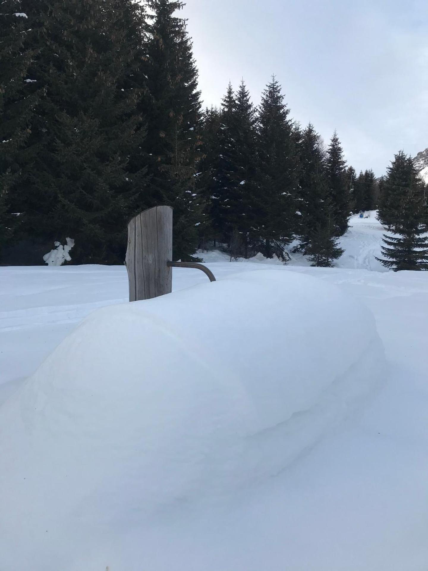 Chalet Apartment Gran Zebrù