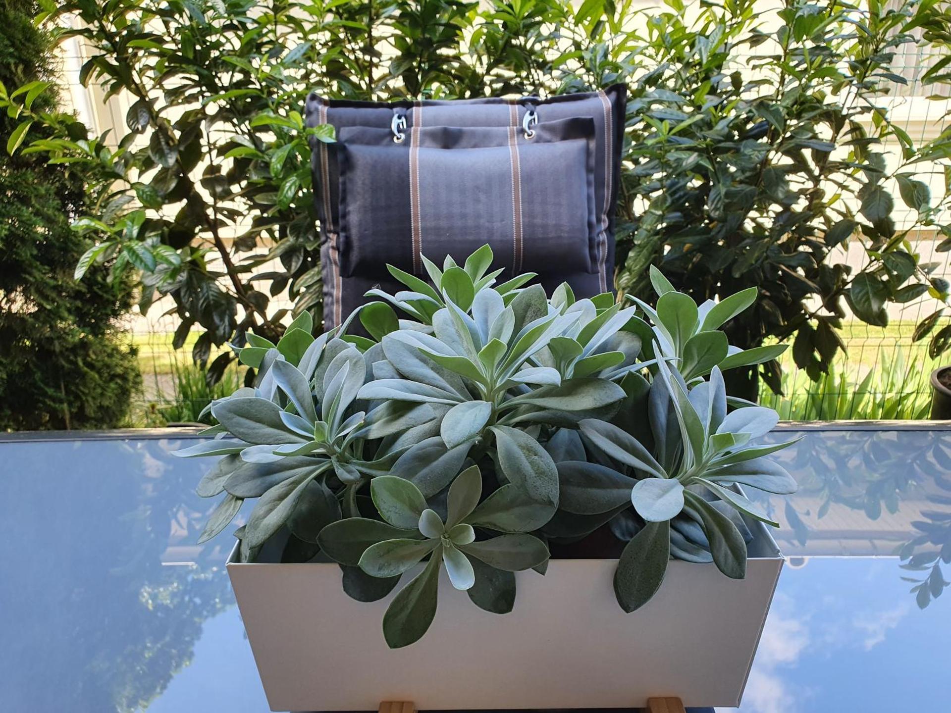 MANDARA WELLNES APARTMANOK