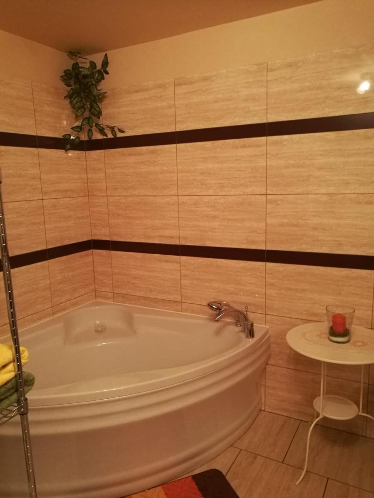 dom do wynajecia oaza