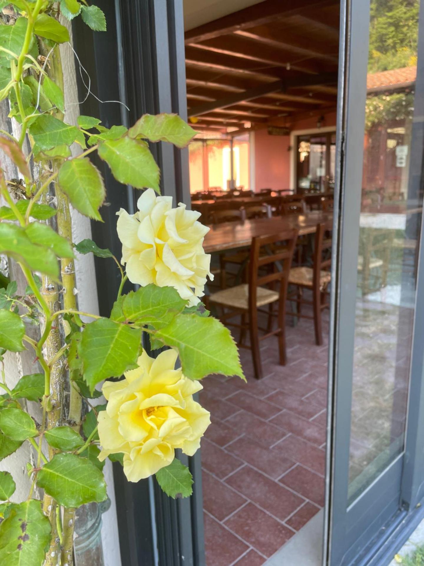 Agriturismo La Vita è Bella