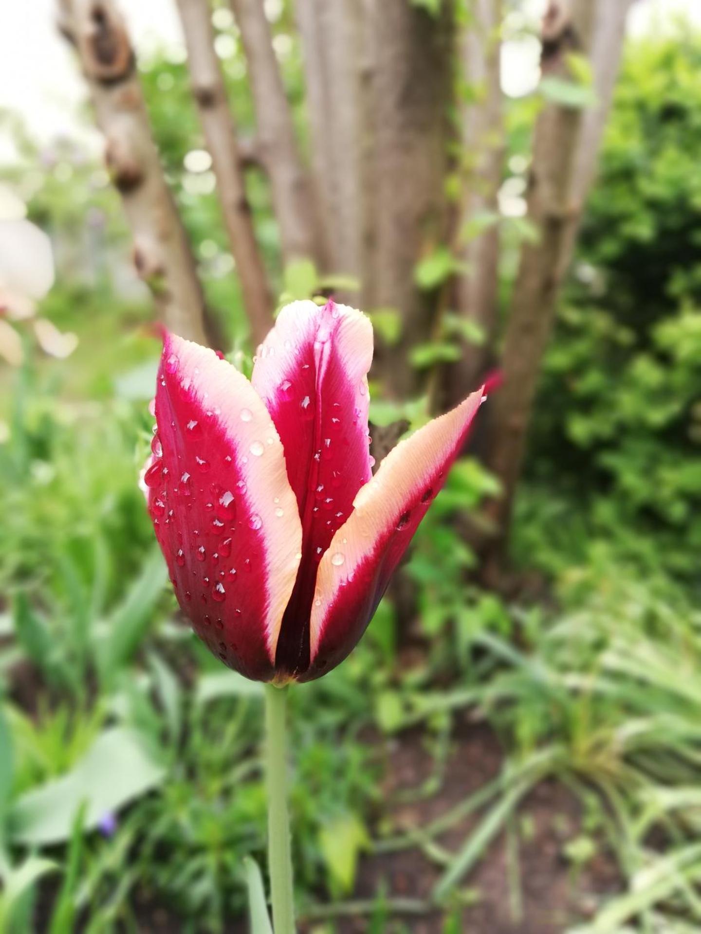Ferienwohnung "Kleiner OTTO"