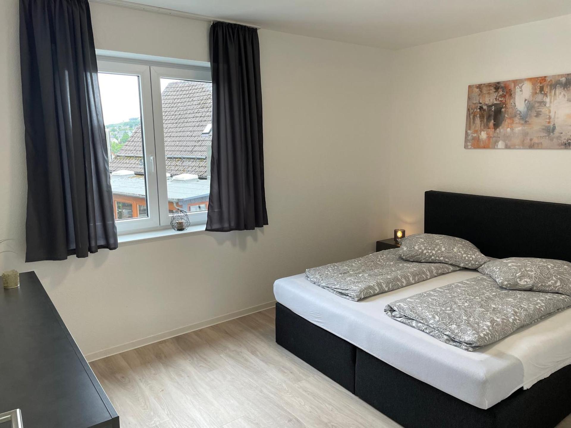 Sauerland Apartment Deluxe