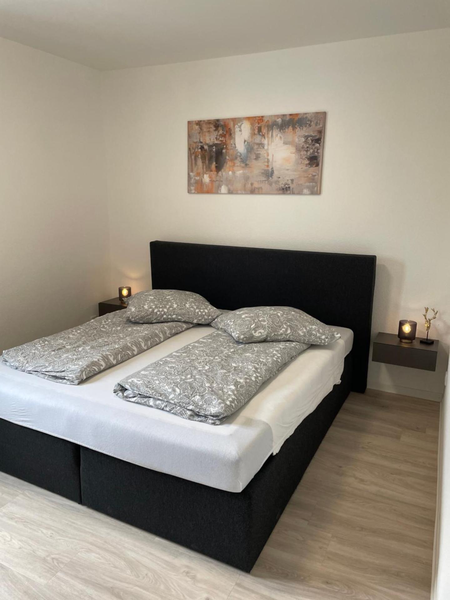 Sauerland Apartment Deluxe