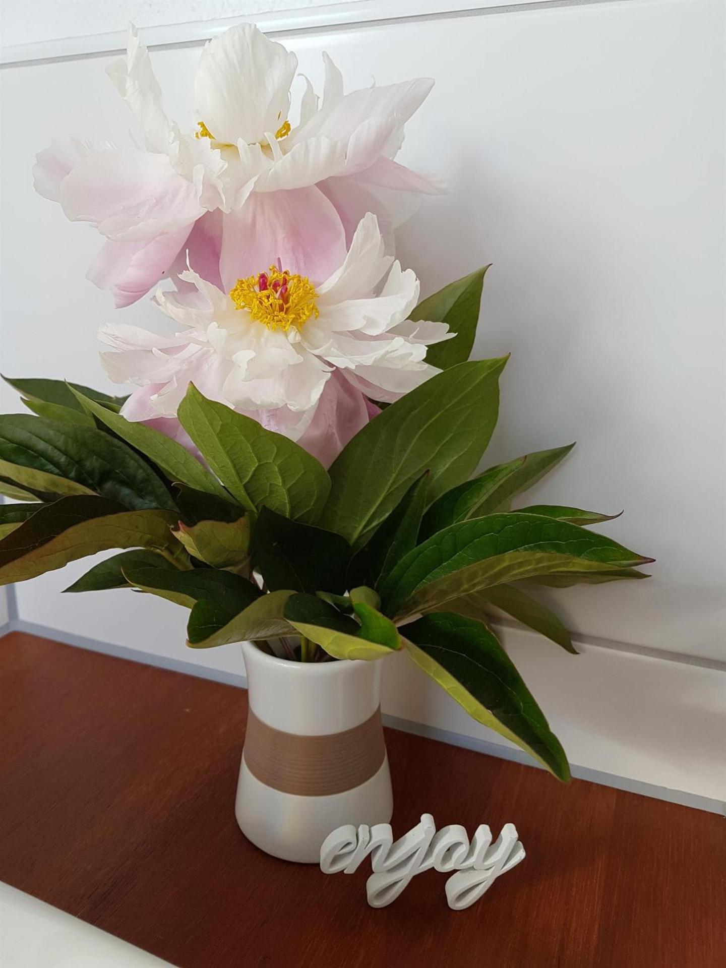 Ferienwohnung An der kleinen Schreinerei