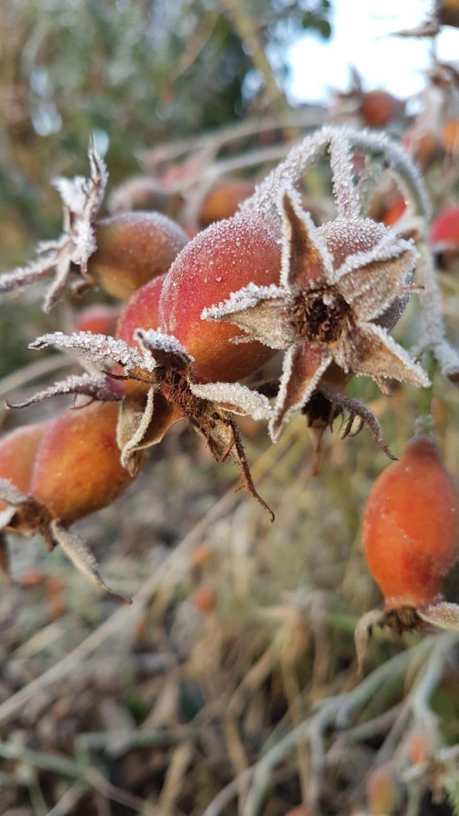 Ferienwohnung An der kleinen Schreinerei