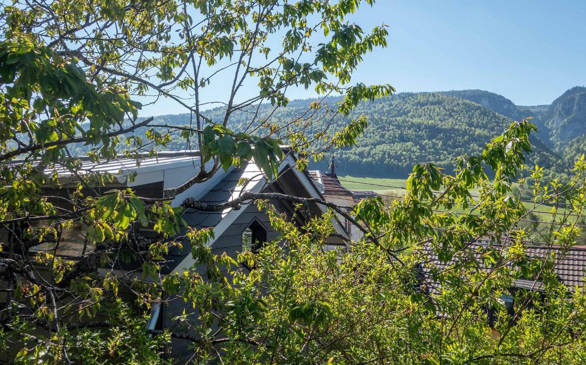 View (from property/room)