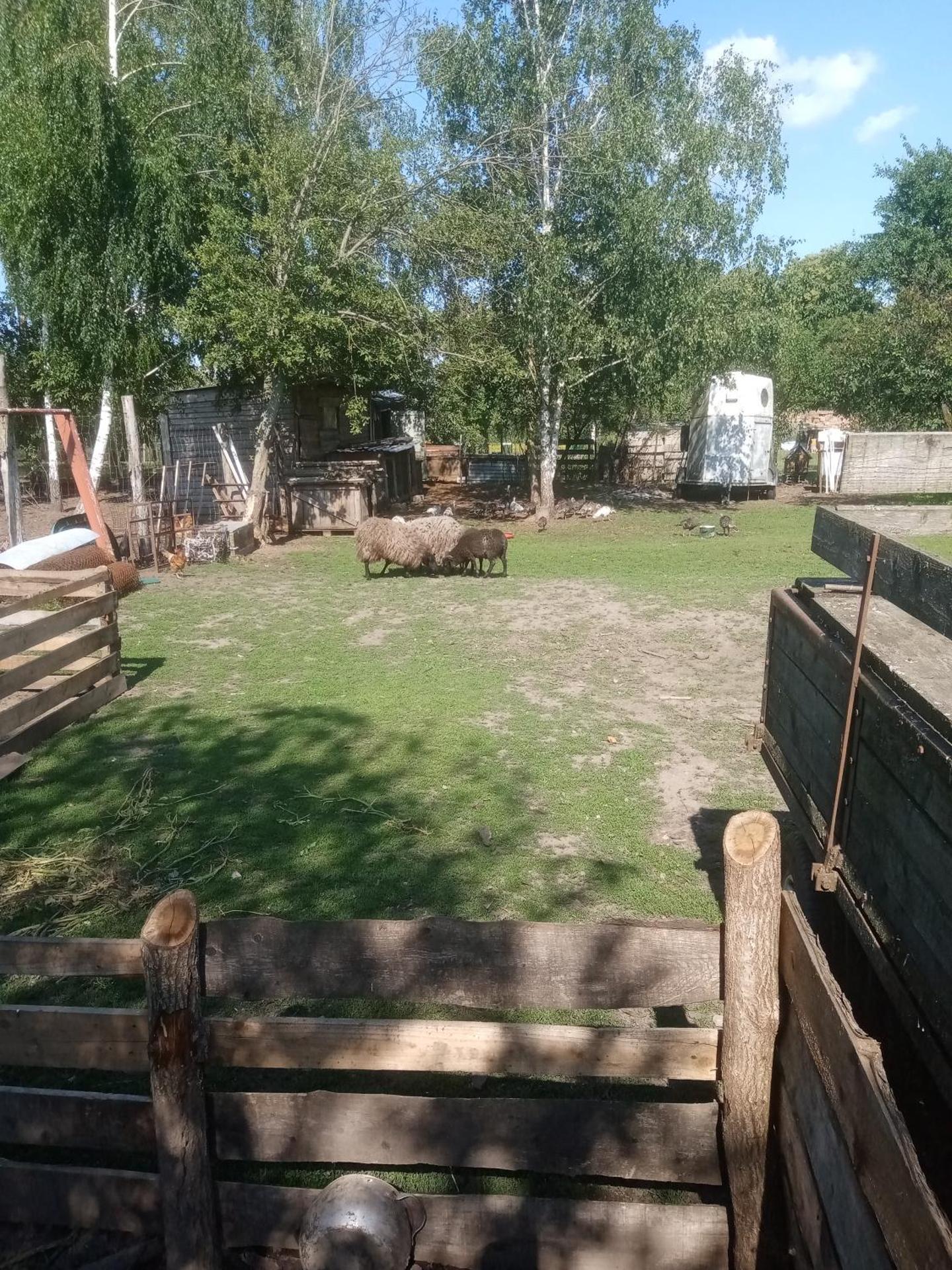 Gospodarstwo agroturystyczne