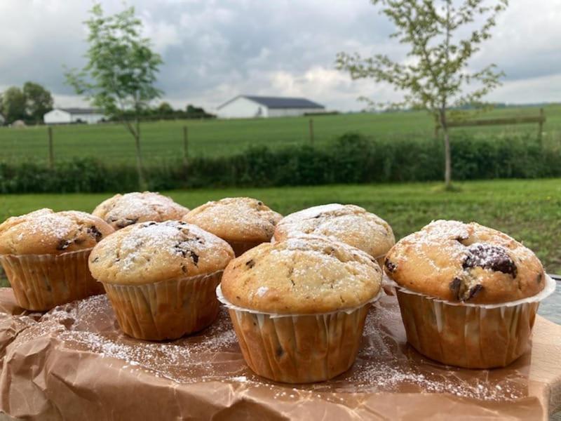 Enkegården Gårdshotell