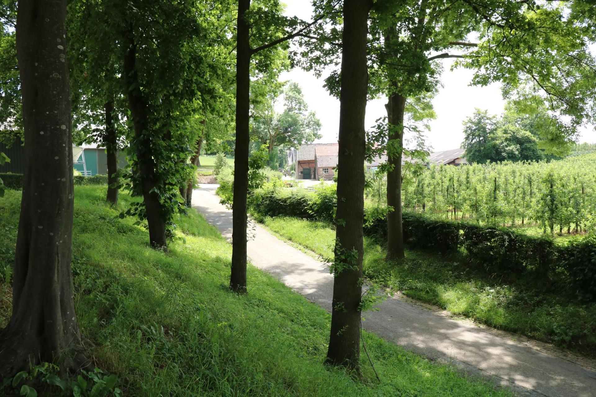 B&B Vroelen-Noorbeek