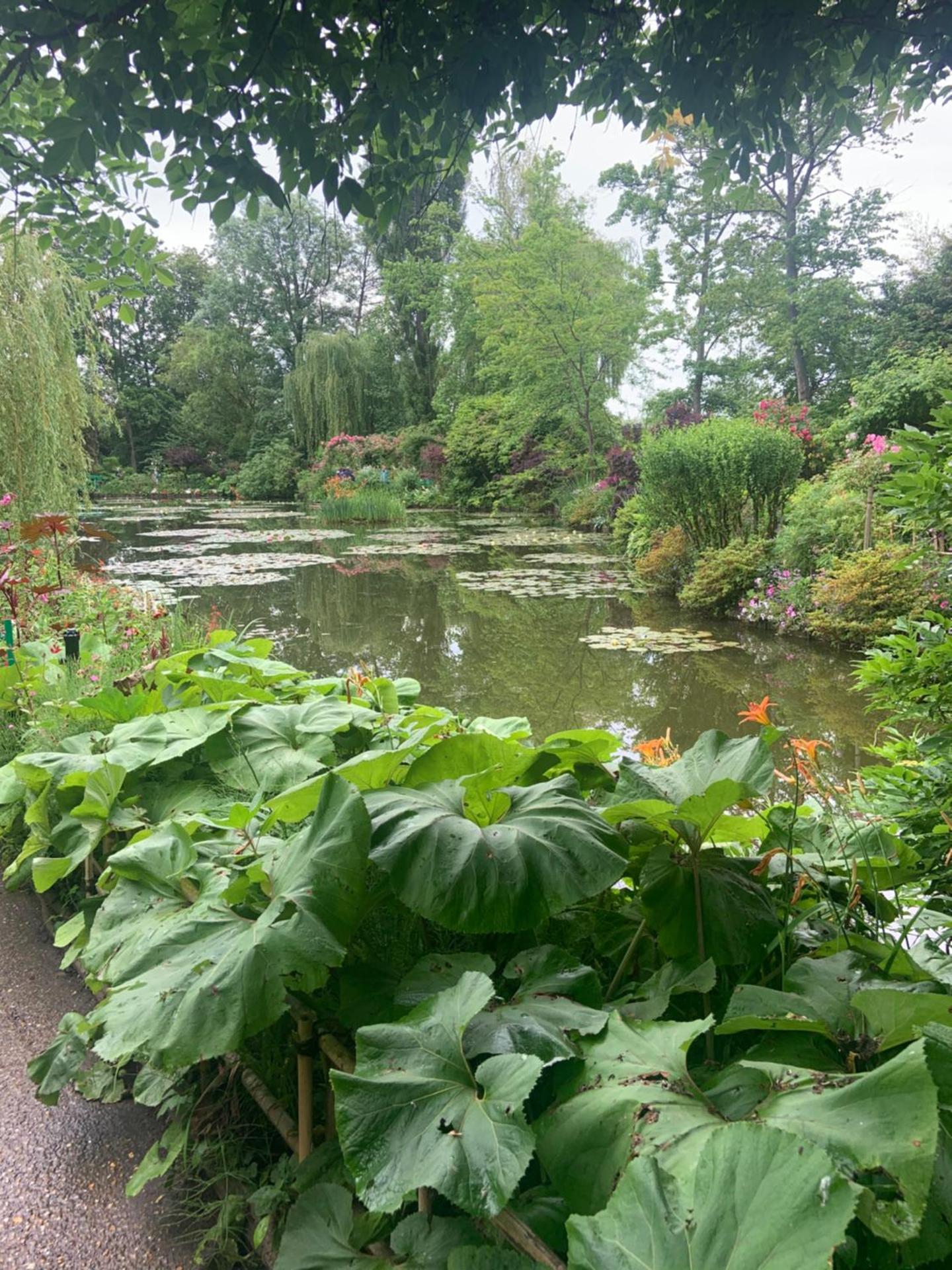 Le Clos de l'Eglise - Inès