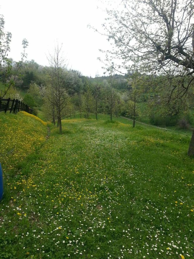 Casa intera tra le colline e le vigne del Dolcetto