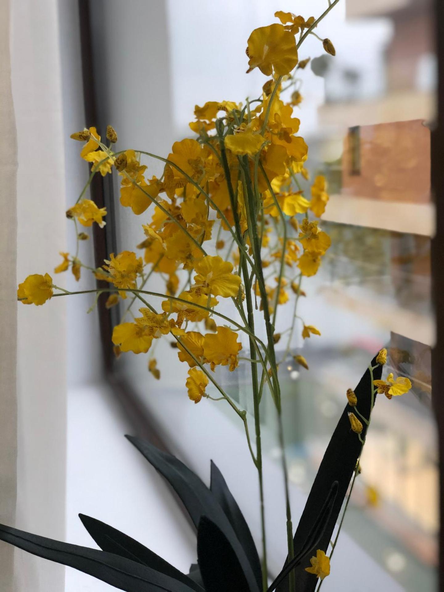 NEST Snagov Lake Apartments - Club Lac Snagov