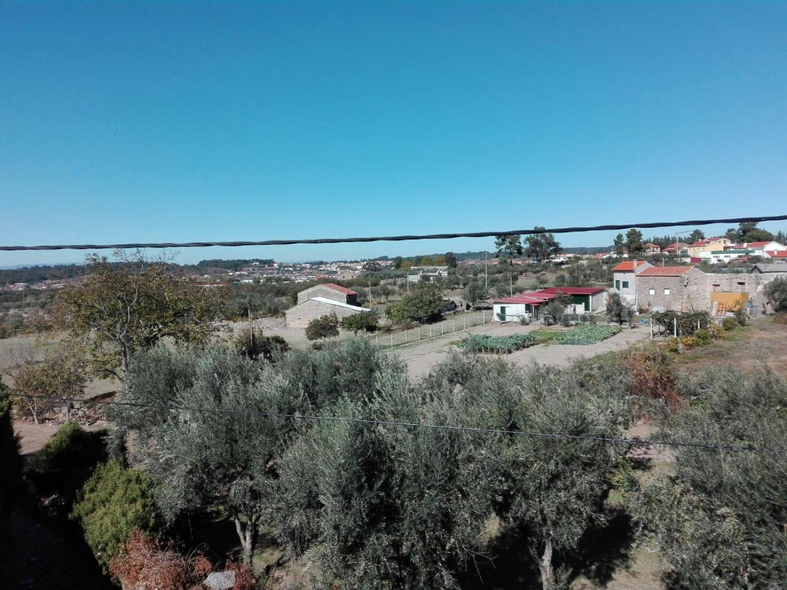 View (from property/room)