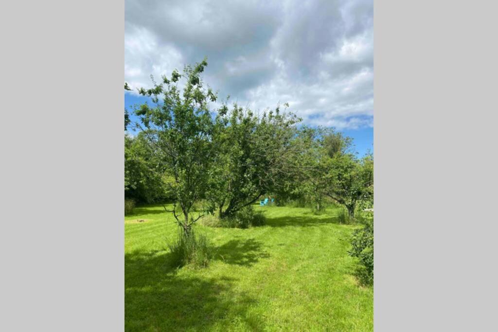 Gorgeous comfortable barn with huge private orchard in quiet Suffolk location