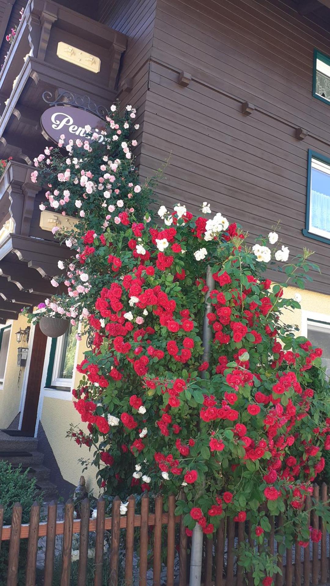 Pension Haus Rohrmoser