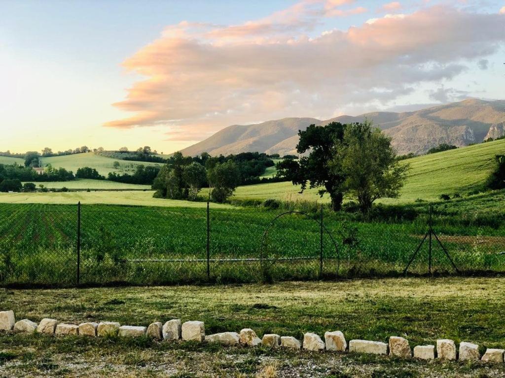 Casale Viridi - nel fresco delle colline Umbre
