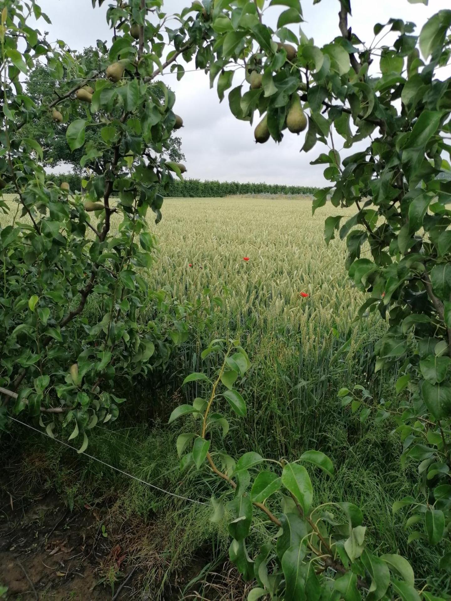 Vakantiewoning Upstairzzz