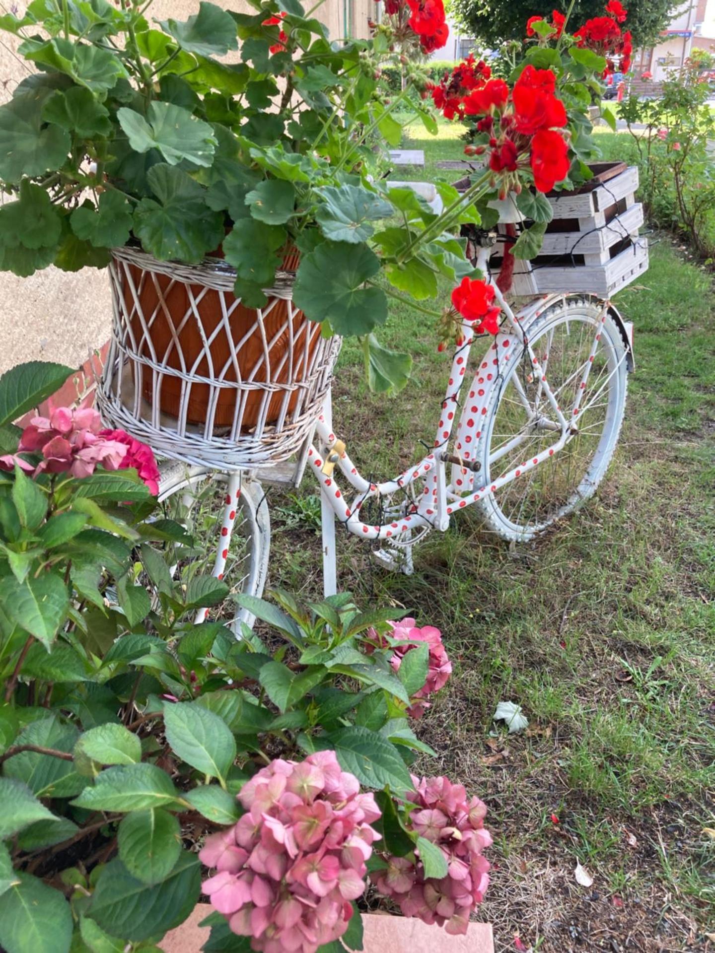 Guest House Dommitzsch